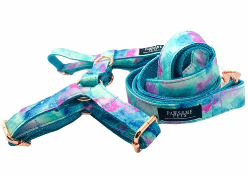 Step-In Dog Harness & Leash Bundle – Adjustable Heavy-Duty Pet Walking Set