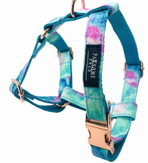 Step-In Dog Harness & Leash Bundle – Adjustable Heavy-Duty Pet Walking Set