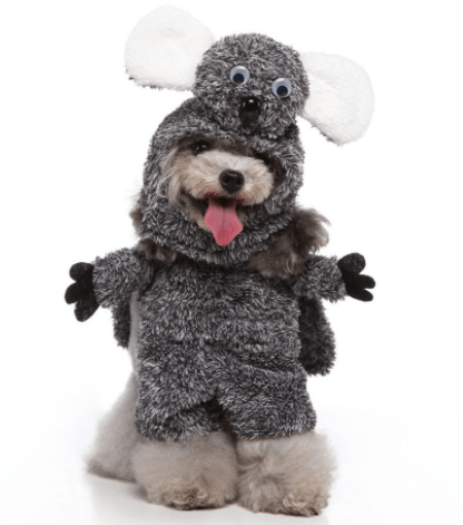 Funny Pet Cosplay Costume Set – Cute Cartoon Dog Outfit with Hat & Cape for Halloween, Christmas & Parties