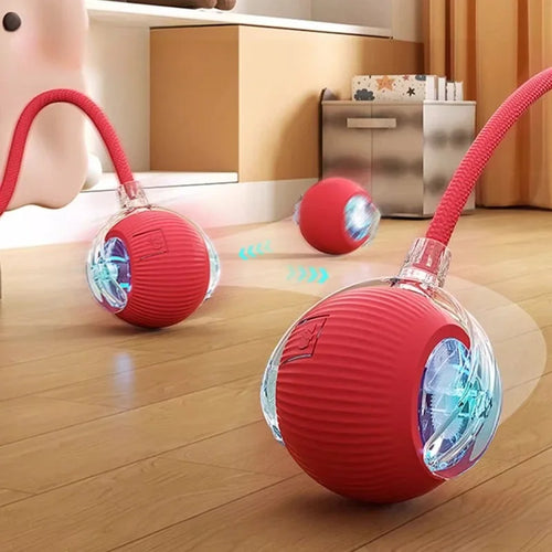 Rechargeable Interactive Rolling Cat Ball with Moving Tail β Automatic Smart Motion Toy with 3 Play Modes Shop1105388916 Store