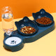 Food Basin Double Bowl Protective Cervical Spine Automatic Drinking Bowl Pet Supplies