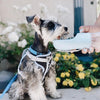 2 IN 1 PORTABLE PET FEEDER - LIGHT GREY