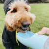 2 IN 1 PORTABLE PET FEEDER - LIGHT GREY
