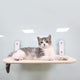 Hammock Four Seasons Universal Cat Litter Suction Cup Windows