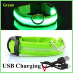 USB Rechargeable LED Dog Collar – Adjustable Light-Up Safety Collar with 3 Glow Modes for Dogs & Cats