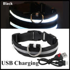 USB Rechargeable LED Dog Collar – Adjustable Light-Up Safety Collar with 3 Glow Modes for Dogs & Cats