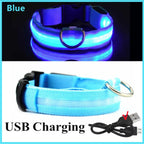 USB Rechargeable LED Dog Collar – Adjustable Light-Up Safety Collar with 3 Glow Modes for Dogs & Cats