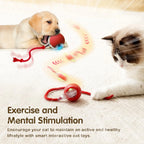 This interactive spherical toy for cats features an automatically rotating tail ball design and isarechargeable electric pet toy