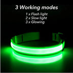 USB Rechargeable LED Dog Collar – Adjustable Light-Up Safety Collar with 3 Glow Modes for Dogs & Cats