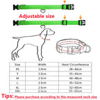 USB Rechargeable LED Dog Collar – Adjustable Light-Up Safety Collar with 3 Glow Modes for Dogs & Cats