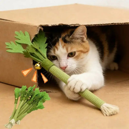 Realistic Celery Cat Chew Toy – Felt Interactive Kicker & Catnip Play Toy for Cats