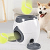 Automatic Pet Training And Feeding System